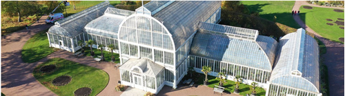 palmhuset.png
